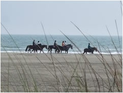 Des promenades à cheval et des plages de sable fin